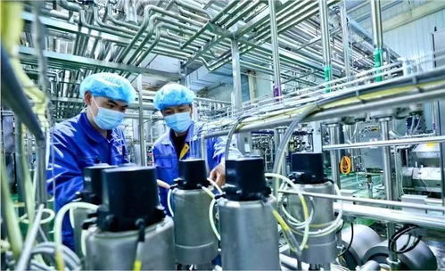 蘭州新區國慶假期生產不打烊，全力趕制訂單保障西安網絡需求